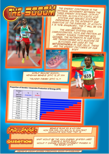 Bridging the gap between MYPPHE5 and SEHS